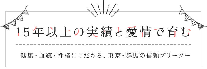 15年以上の実績と愛情で育む 健康・血統・性格にこだわる、東京・群馬の信頼ブリーダー