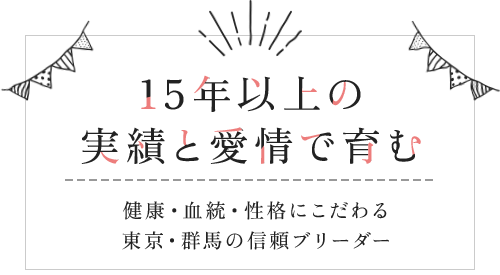 15年以上の実績と愛情で育む 健康・血統・性格にこだわる、東京・群馬の信頼ブリーダー